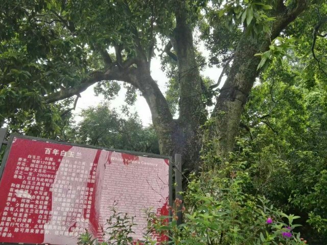 谢鲁山庄风景名胜区