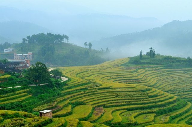 坪山梯田旅游区