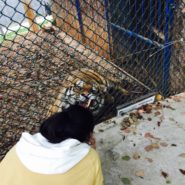 三峡森林野生动物世界