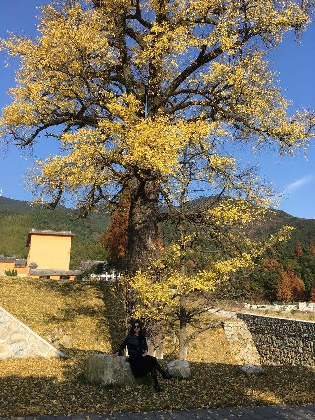 黄柏山国家森林公园