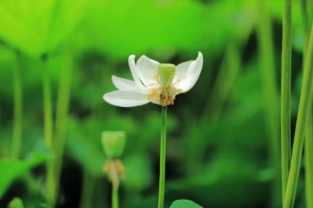 四川大学(望江校区)-博物馆