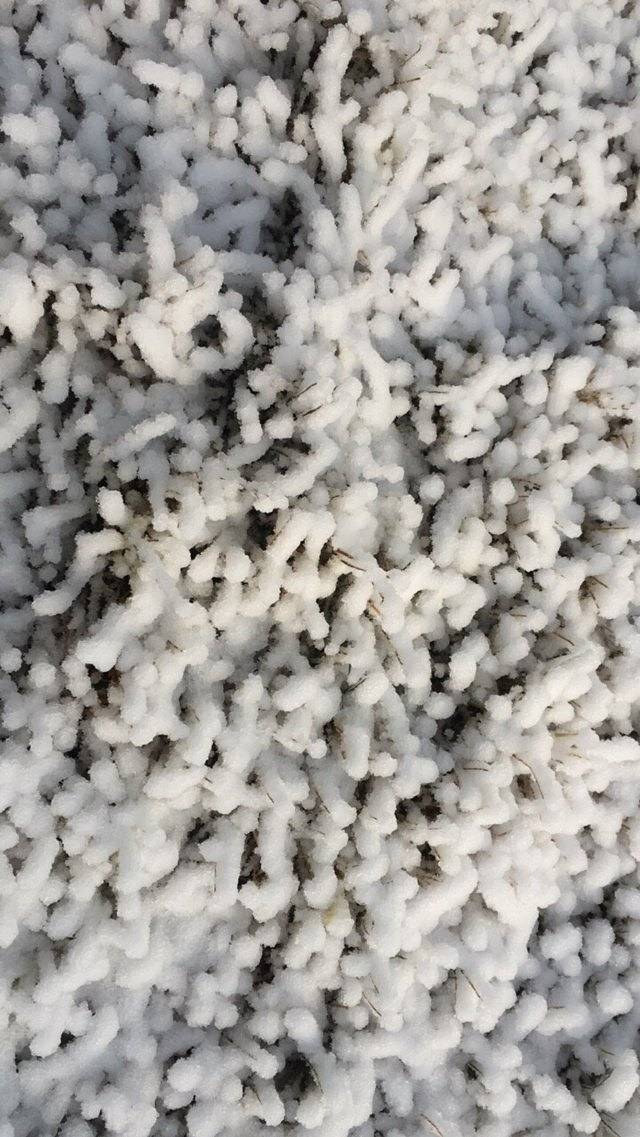 嘉山悠乐谷水上乐园