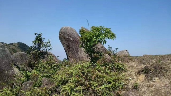 如果遇到有云雾的日子,双石顶两块巨石矗立在云海之上,时幻时灭,犹如