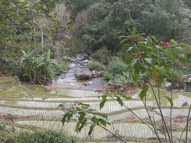 "雨林边缘开辟的一小片地方，风景优美，入口处可以眺望一下五指山，面积不大，2-3小时就转完了，有..._五指山水满河热带雨林风景区"的评论图片