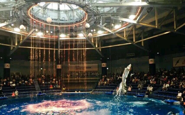 品川麦克赛尔水族馆