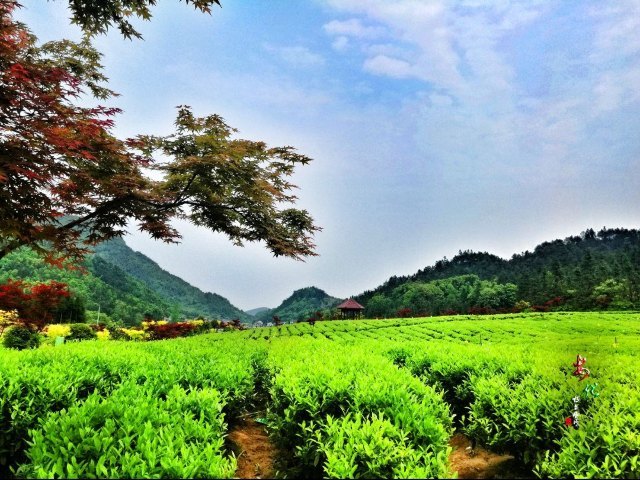 茶马古道风景区