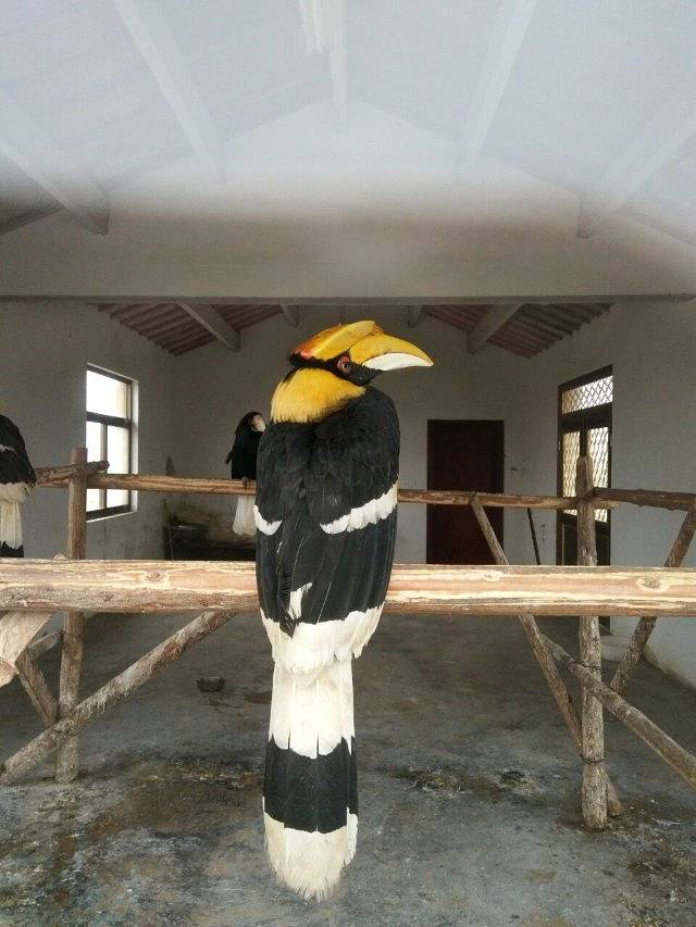 盐城大丰港动物园