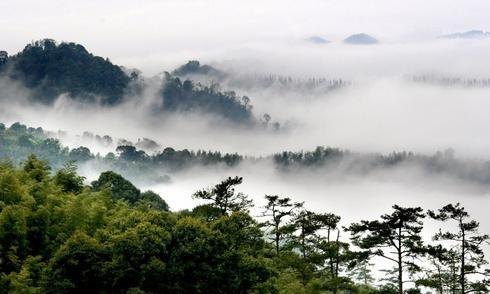 大云雾山旅游区