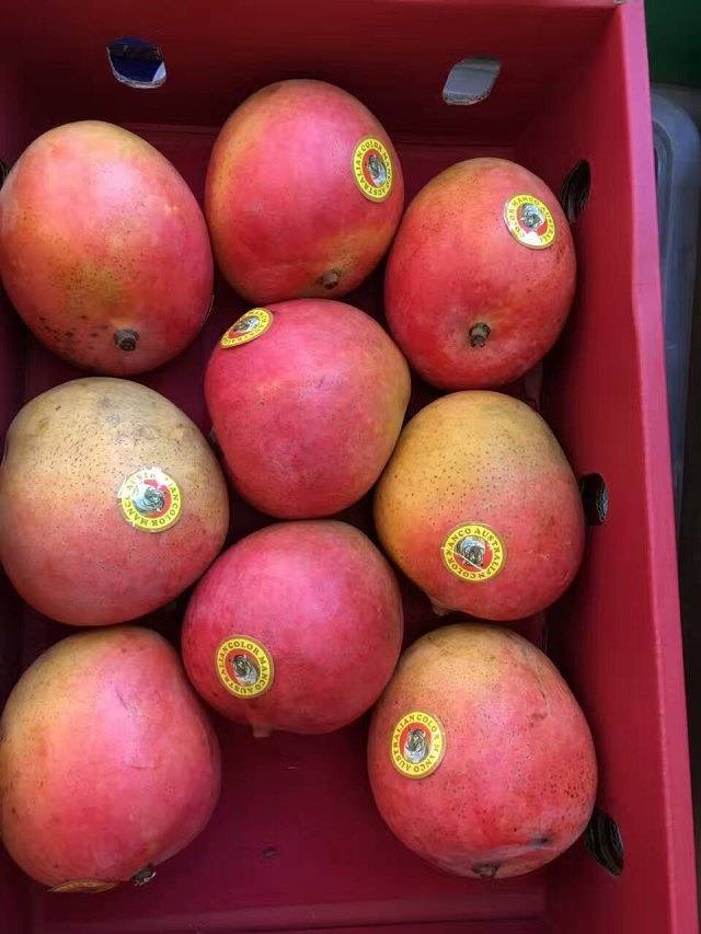 WOW芒果口袋乐园