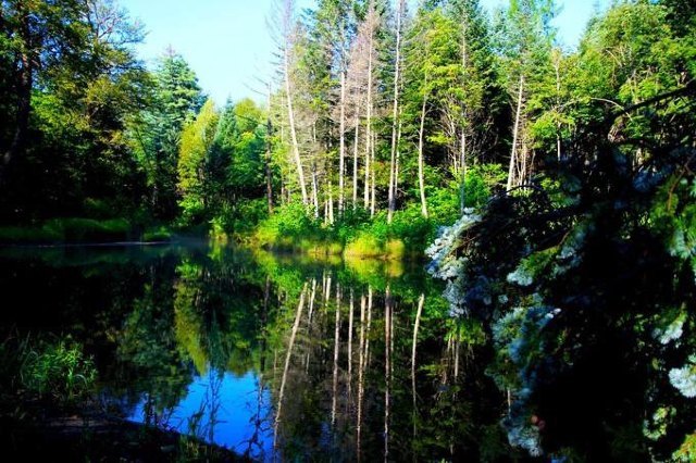 大戏台河风景区