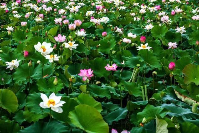 世外桃源风景区