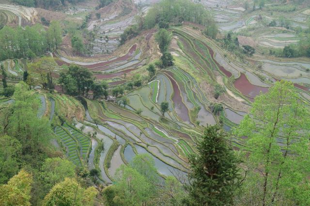 老虎嘴梯田