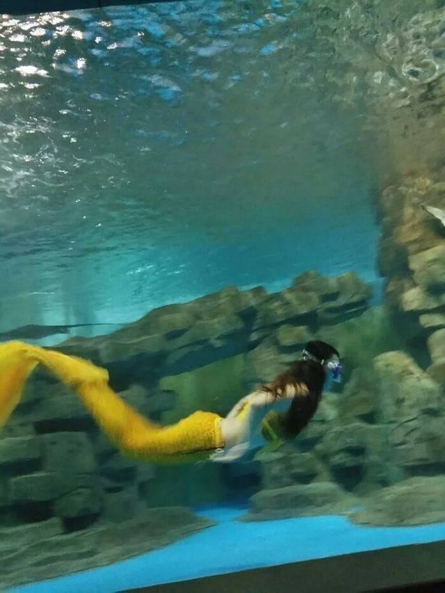 蚌埠海贝海洋乐园