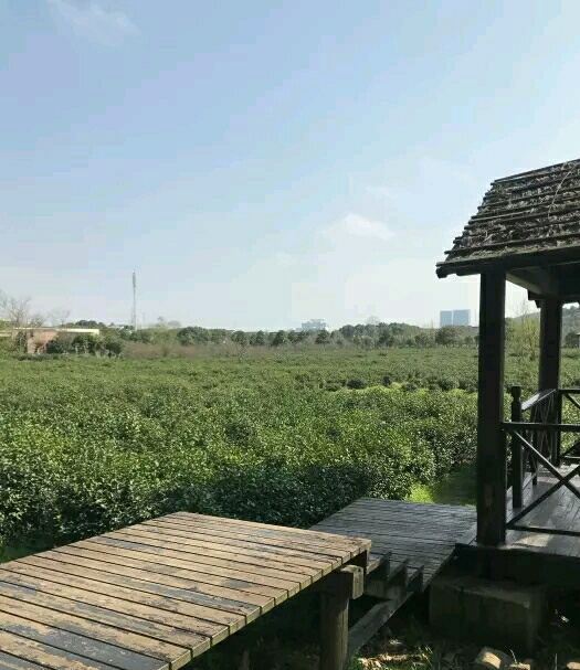 苏州旺山九龙潭风景区