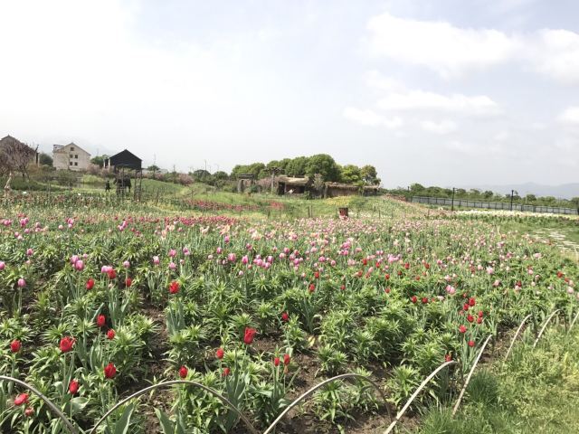 荻浦花海欢乐世界