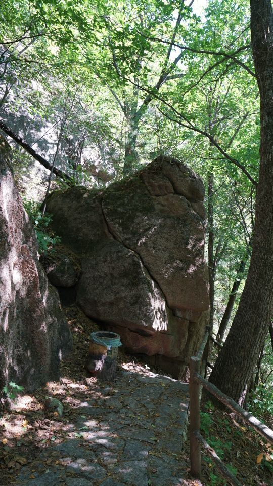 小兴安岭国家地质公园(桃山园区)