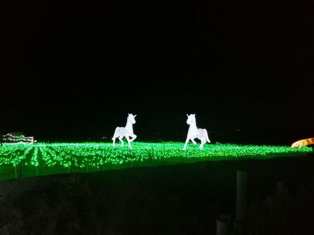 百草坡森林植物园