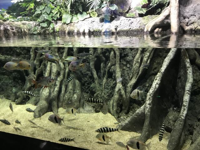 遵义冰雪海洋世界