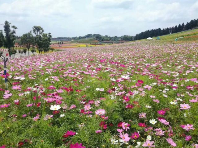 洋沙湖国际旅游度假区