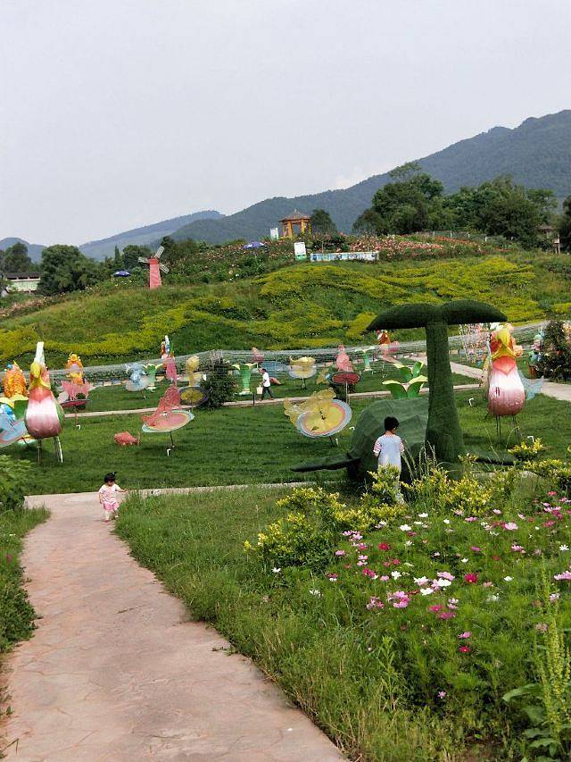 百万玫瑰成长田园