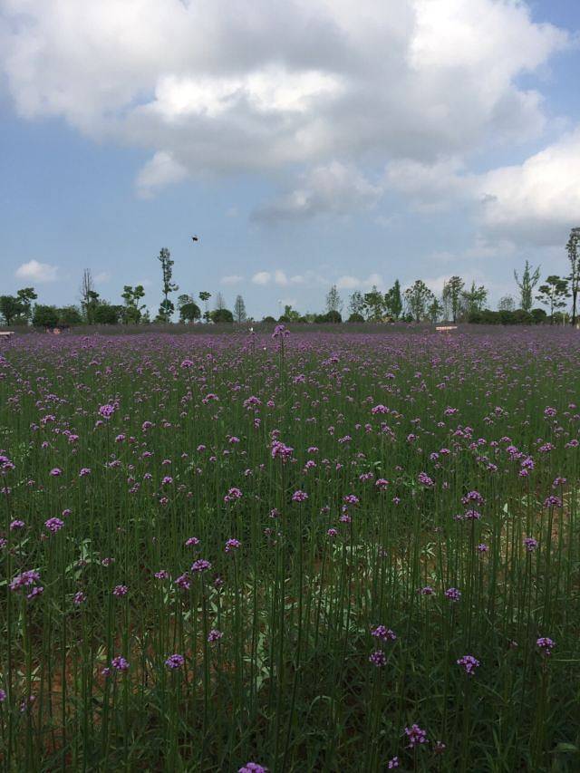 云梦方舟水上乐园