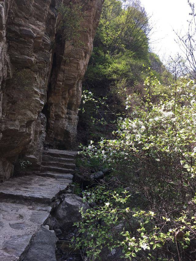 灵寿水泉溪自然风景区