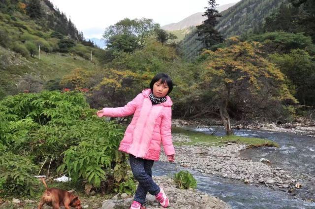 鸡冠山国家森林公园