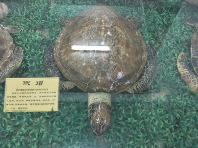 山东省天宇自然博物馆