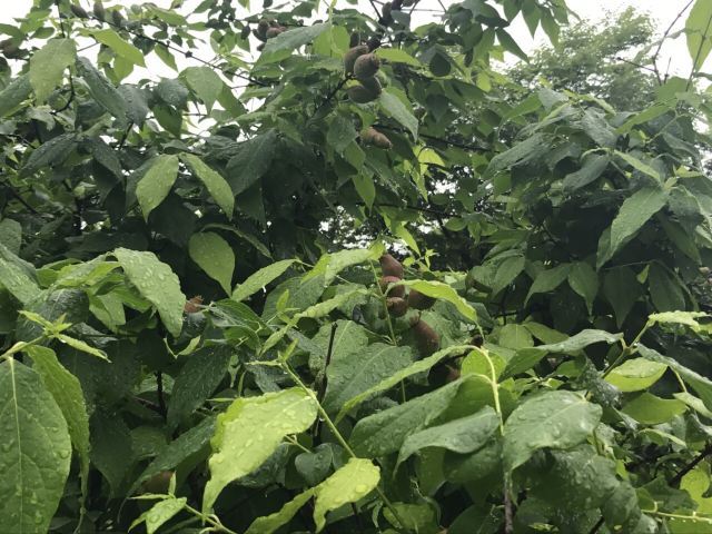 世纪缘泊漫温泉