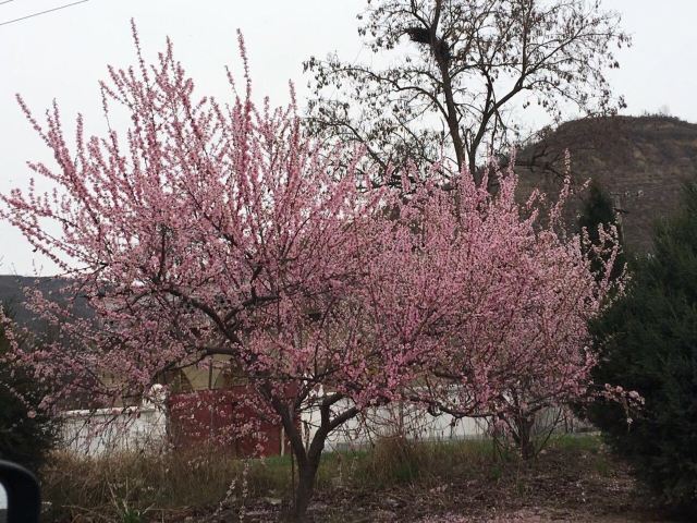 秋林抗战纪念地景区