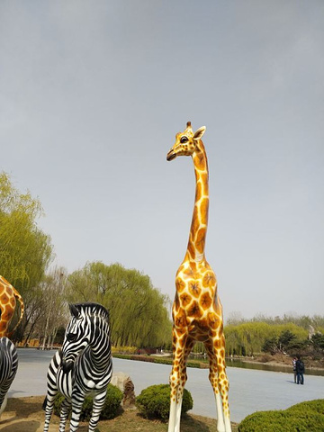 "小动物都特别可爱&#x20;特别喜欢&#x20;不错不错&#x20;还有表演&#x20_北京野生动物园"的评论图片