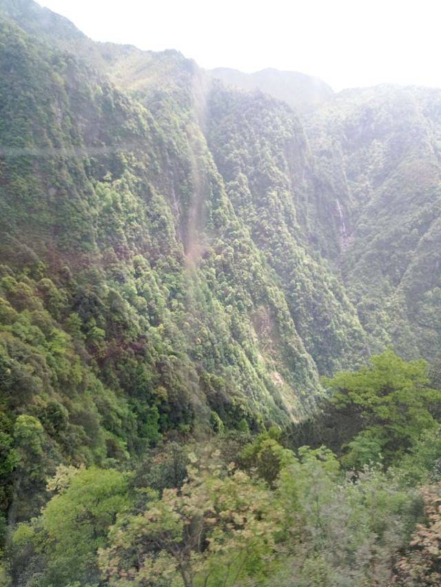 明月山维景国际温泉