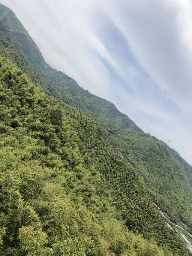 浙东大竹海景区