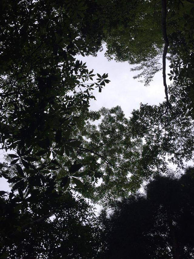 青云山九天瀑布