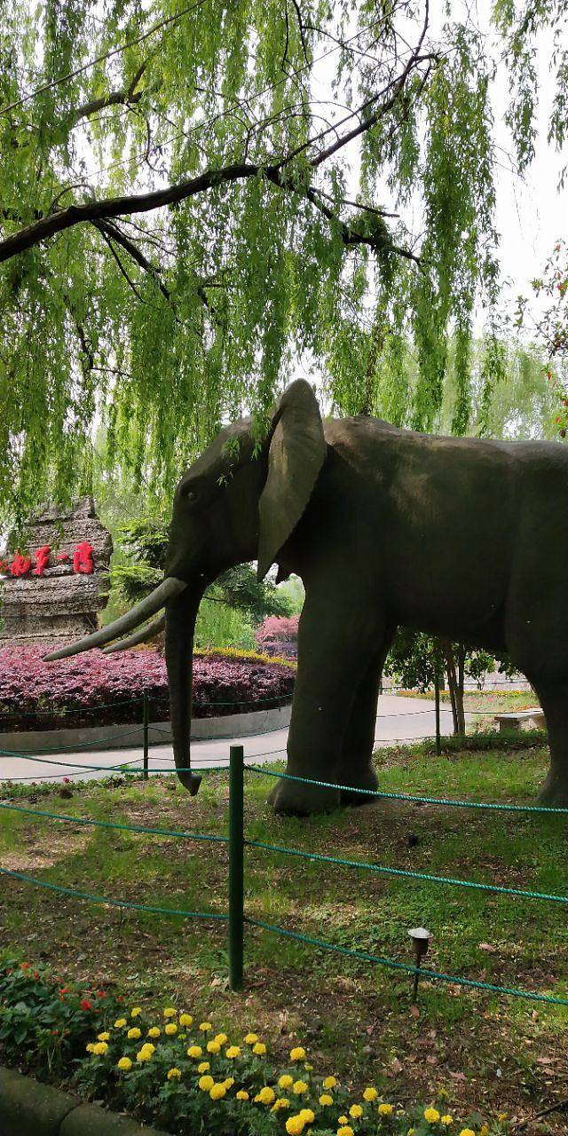 塘栖枇杷特色园区