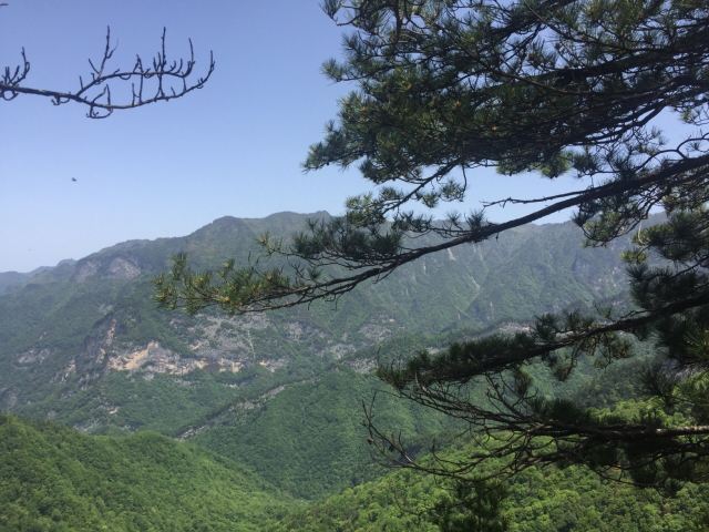 略阳五龙洞国家森林公园