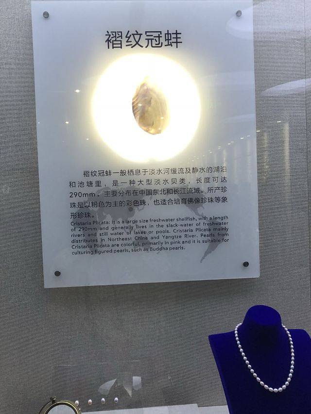 北海南珠博物馆