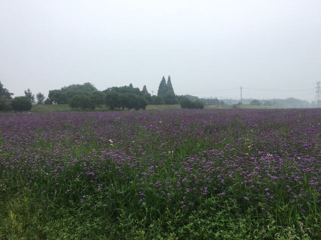 新沙岛旅游度假区