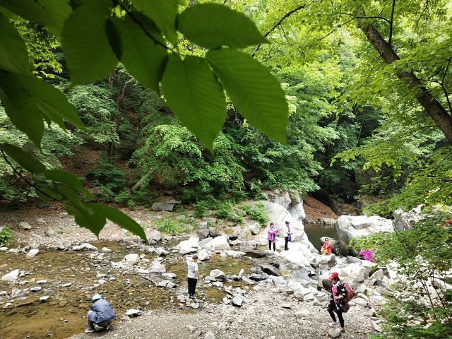 "_筐子沟生态风景区"的评论图片