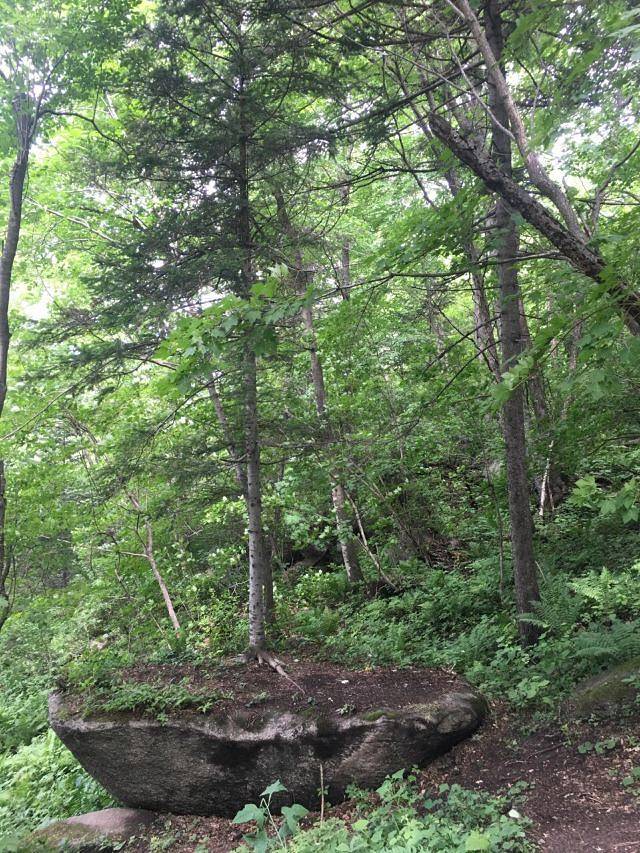 亚布力虎峰岭风景区