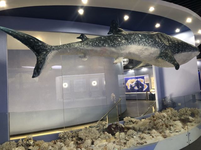 北海南珠博物馆