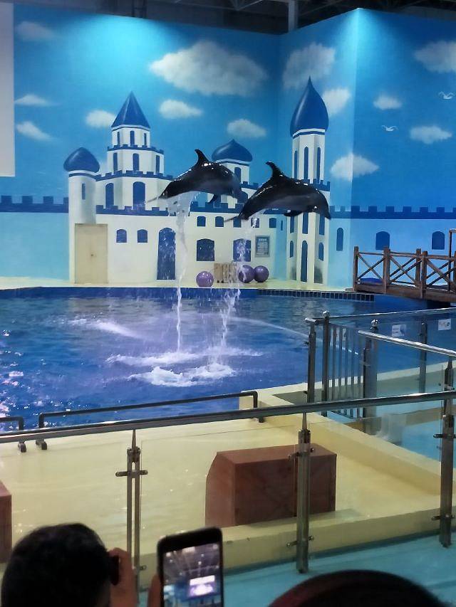 中赫海豚湾海洋公园