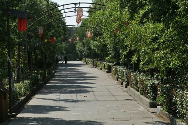 湖光山舍田园农庄