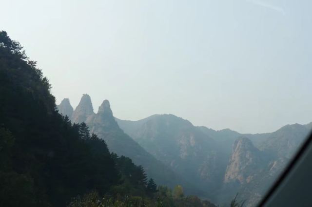 白草洼国家森林公园