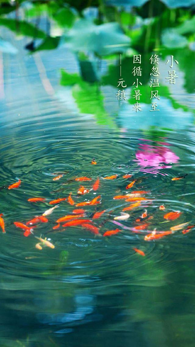 楼观台国家森林公园