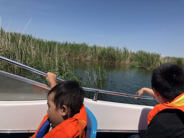 乌伦古湖国家湿地公园