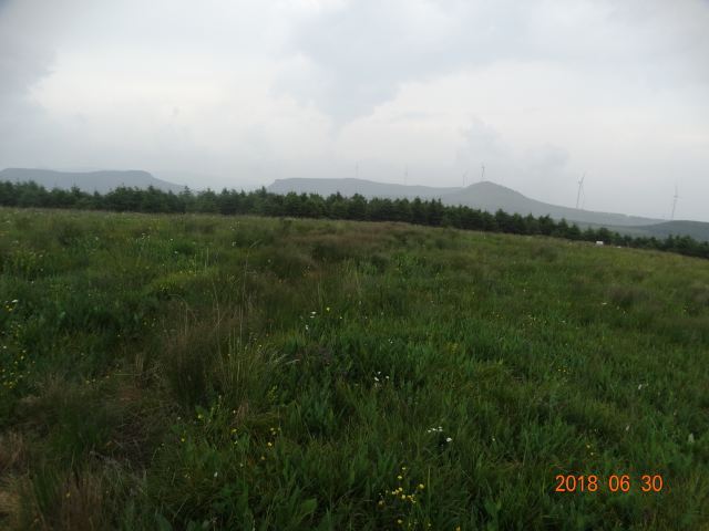 红崖峡谷滑雪场