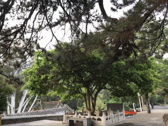 楼观台国家森林公园