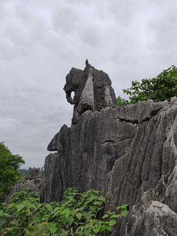 "_石林风景区"的评论图片
