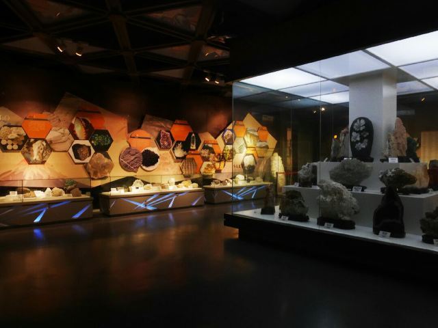 嘉荫神州恐龙博物馆